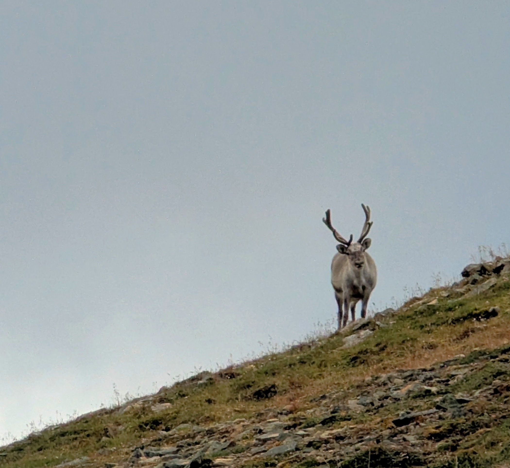 Bilde av lys-oppsettet